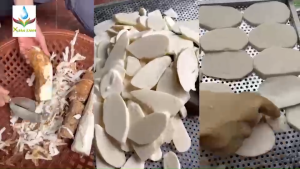 Combo 3 Hộp Sữa Hạt Thực Dưỡng Xuân Xanh