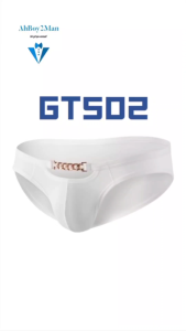 Mens Brief: Nylon Brief with Gold Metal Chain Accessory (GT502)