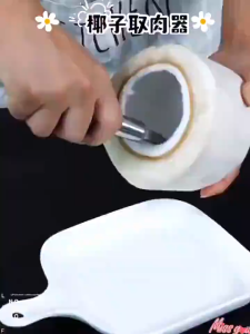 BHQ Stainless Steel Coconut Grater Coconut Scraper Potato Grater Durable Fish Scale Planer Kitchen Supply