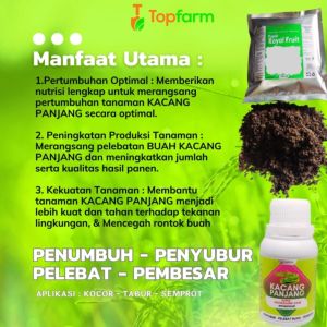 Pupuk Khusus Kacang Panjang: Cara Meningkatkan Produksi