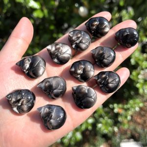 1pc Silver Obsidian Mini Sleeping Cat Quartz Cat Crystal Cat Mineral Specimen Home Decor Crystal Gifts Birthday Gifts Hol