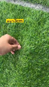 หน้ากว้าง 2 เมตร หญ้า หนา 1.5 ซดม 2 ซดม 3 ซดม สวย สวย สนาม สนามเทียม อุปกรณ์ สวน สนาม สี เขียว ตัดขาย เป็น เมตร