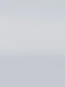 OneTwoFit 3-in-1 multifunctional supine board