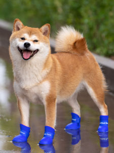 Waterproof Anti-Slip Soft Bottom Summer Rain Shoes for Medium Small Dogs Pet Foot Covers Teddy Shiba Inu Dog Breeds