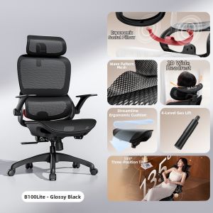 Musso | Ergonomic Computer Chair For Long Hours Sitting Office & Gaming