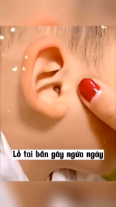 TĂM BÔNG TRẺ EM COMBO 2 HỘP – 400 QUE COTTON MỀM MỊN – BÔNG VỆ SINH TAI MŨI CHO BÉ