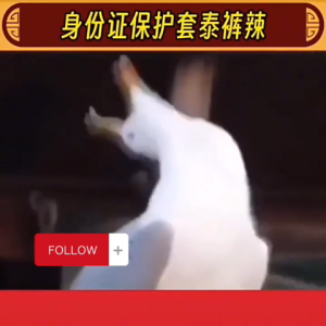 Set 10 Bao Đựng Thẻ Nhựa Trong Suốt Hình Che Mặt Ngẫu Nhiên – Bọc Thẻ CCCD ATM Card Visit Độc Đáo