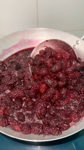 1kg Dâu Tằm Ngâm Đường Phèn ( dạng lỏng có trái ) Siro Syrup