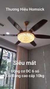 [ BẢO HÀNG 10 NĂM ] Quạt Trần 6 Cánh Homsick Đèn Đèn Chùm Pha LêĐộng Cơ DC Siêu Mát Có Điều Khiển Từ XaBảo Hành Chính Hãng 10 Năm
