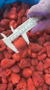 สตรอว์เบอร์รี่ฟรีซดราย 1 กิโลกรัม กรอบกรุบ หวานฉ่ำ เคี้ยวแล้วสดชื่นทุกวัน