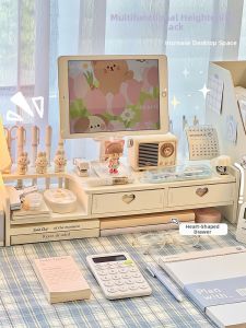 Desk Riser Organizer