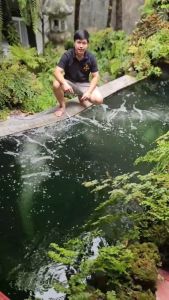 P&N Oxy Pure แบบโค้ง แยกซ้ายขวารวม Premium