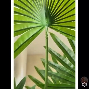 【SG Evergreen】Tropical Artificial Plant Large Fan Palm Tree Fake Tree for Home Office Indoor Outdoor Decor Faux Plants Artificial Plants with Pot