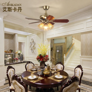 Aiskdan | Modern Simple Elegant New Ceiling Fan Light for Home
