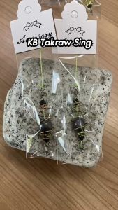 ชุด 5 ลูก สุดคุ้ม ตะกร้อตะกั่ว 10g. ตะกร้อตกปลาบ่อ สวายแข่ง ตะกร้อหน้าดิน ตะกร้อสายเขื่อน