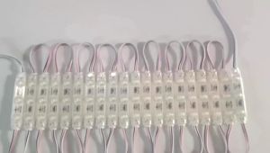 Lampu Led Modul Samsung 3 Mata Tipe 6213 DC 12V 1.5 Watt SMD 2835 Waterproof IP68 (Neon Box)..