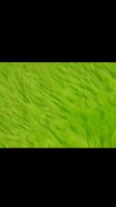 Kain Rasfur bulu lembut bahan karpet surpet karpet rasfur boneka bulu lembut raspur