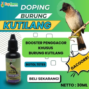 Vitamin Burung Kutilang Cepat Gacor / Vitamin Booster Burung Kutilang / Booster Burung Kutilang / Booster Penggacor Burung Kutilang / Vitamin Penggacor Burung Kutilang / Vitamin Burung Kutilang Cepat Gacor / Doping Burung Kutilang