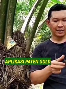 Pupuk Paten Gold 1 Box isi 12 Sashet Pupuk Organik Teknologi Nano Buah Lebat Hemat Praktis Panen Berlimpah
