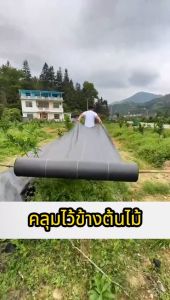 ขนาดใหญ่3x100m.3x50m.2x50m.2x100m.1x100m.1x50m ผ้ากันวัชพืช ผ้ากำจัดวัชพืช ระบายอากาศและน้ำซึมผ่านได้