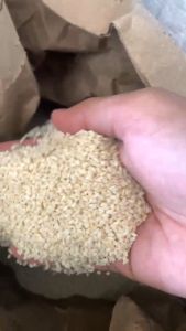 Biji Wijen Putih 1 Kilogram - White Sesame Seeds