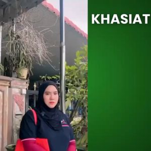 ( Freegift ) Moringa Seed Oil Softgel by AI Global Resources