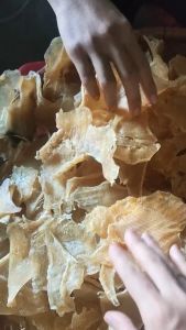 Vi Sụn Vây Cá Đuối Nướng Thơm Nấu Súp Canh Hầm Ngọt Ngon Tự Nhiên- ĐẶC SẢN MINH TRIẾT