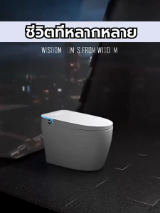 สมาร์ทส้วมส้วม โถสุขภัณฑ์อัจฉริยะเต็มรูปแบบ ล้างทำความสะอาดได้และแห้งได้ ช่วยให้มือของคุณเป็นอิสระ