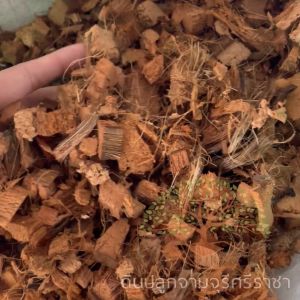 (ส่งฟรี)กาบมะพร้าวสับกลาง 1 กระสอบ(3-6 kg.) กาบมะพร้าวสับ ใช้เวลาจัดส่ง 5-7 วันทำการ ส่งฟรี