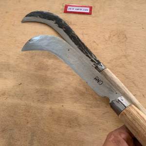 Caluk babad rumput baja per asli seuat serang Banten