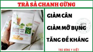 DÙNG THỬ Trà Giảm Cân Sả Chanh Gừng dùng thử 5 túi Lọc- giảm cân giảm mỡ bụng dùng được cho phụ nữ sau sinh