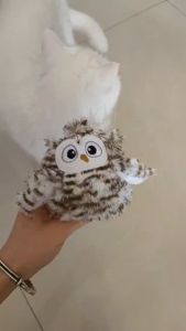 Đồ Chơi Mèo Cảm Biến Hình Chim FOFOS