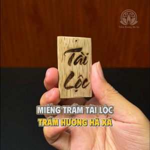 Miếng trầm hương bỏ ví tài lộc móc khóa trầm hương cầu tiền tài sự nghiệp công danh Trầm hương Hà Xá