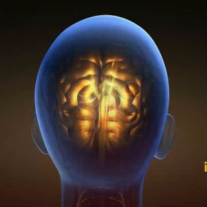 Buku Mukjizat Ilmiah di Lautan & Dunia Binatang