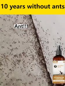 Ants Killer Ubat Semut Semburan Semut Anti Ant Killing Spray Ant Repellent Termite Killer 杀蚂蚁喷雾