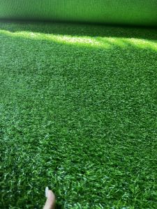 Cỏ nhân tạo cỏ nhựa nhân tạo 2cm trải sàn feeship