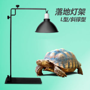 Crawler Tortoise Metal Floor Lamp Rack Retractable Climbing Pet Chopsticks Container Lampshade Turtle Sun Back Light Calcium Supplement Heating Lampshade