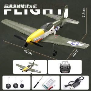 W551 4CH RC Fighter Fixed-Wing Aerobatic Airplane Hobby Model