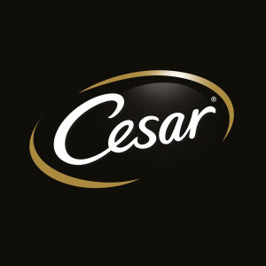CESAR Makanan Anjing Basah - Makanan Anjing Dewasa Premium dalam Berbagai Rasa (6-Pack) 100g.