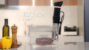 Commercial Low Temperature Slow Cooker sous vide Shufei Machine Steak Slow Cooker Stick Home Constant Temperature Molecular Cooking Machine