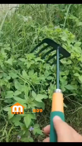 ส้อมพรวนดิน คราดพรวนดิน ด้ามจับไม้ Cultivator รุ่น PL-8501อุปกรณ์ทำสวน คราดมือเล็ก สีเขียว #ร้านมาร์ยอง