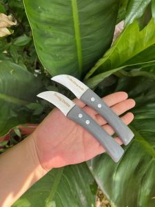 Dụng Cụ Cắt Gõ Sầu Riêng Bản Cong Chất Thép Không Rỉ Cán Nhựa PVC Chắc Khỏe