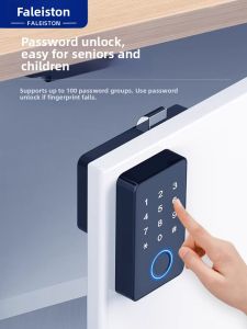 FALEISTON | Fingerprint & Password Security Lock for Office Cabinets Shoe Cabinets and Home Storage