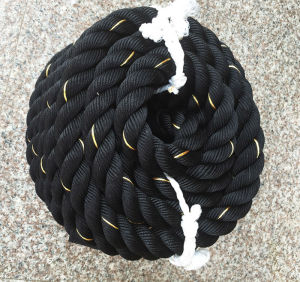 Dây thừng tập gym dây thừng tập thể lực phi 38mm