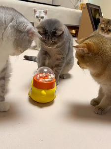 🐶แมวและสุนัข🐱 ให้อาหารแมว ปริศนาและความสนุกสนาน หมุนเพื่ออาหาออก หน้าต่างที่มองเห็นได้ เล่นไปกินไป เสาหน่วงเขาวงกต เพิ่มความสนใจให้แมว ของเล่นแมว ของเล่นออกกําลังกายปัญญาสัตว์เลี้ยง ของเล่นอาหารรั่วสุนัข