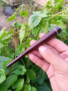 Pipa cangklong kayu gali asem 14cm lingkar cincin