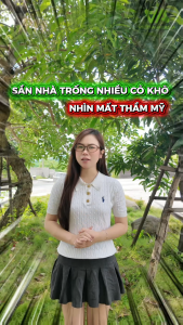 Combo 500 Gram Hạt Giống Cỏ Lá Gừng Lawn - Cỏ Lá Tre Dễ Trồng Chống Xói Mòn Giá Thành Tốt