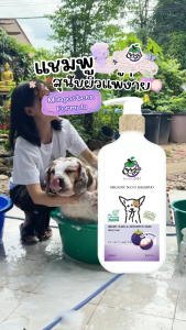 แชมพูสุนัข Orga (Sensitive Skin) - สูตรมังคุด สำหรับสุนัขขนสั้น ผิวแพ้ง่าย (250ml.)  | Orga by MewMew Organics