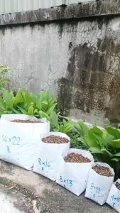 ถุงเพาะชำสีขาว ขนาด 8x13 นิ้ว 1กก. ไม่เจาะรู