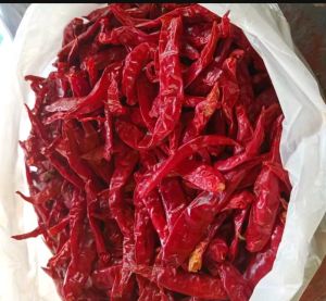 CABE TEJA KERING MEDIUM KEMASAN 1 KG PACKING